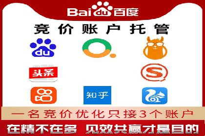 百度优化推广案例：打造行业领先品牌